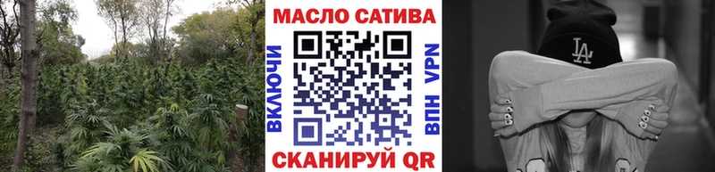 Купить закладки  Петров Вал  ТГК концентрат 