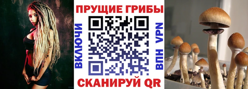 Купить закладки  Петров Вал  Галлюциногенные грибы мицелий 